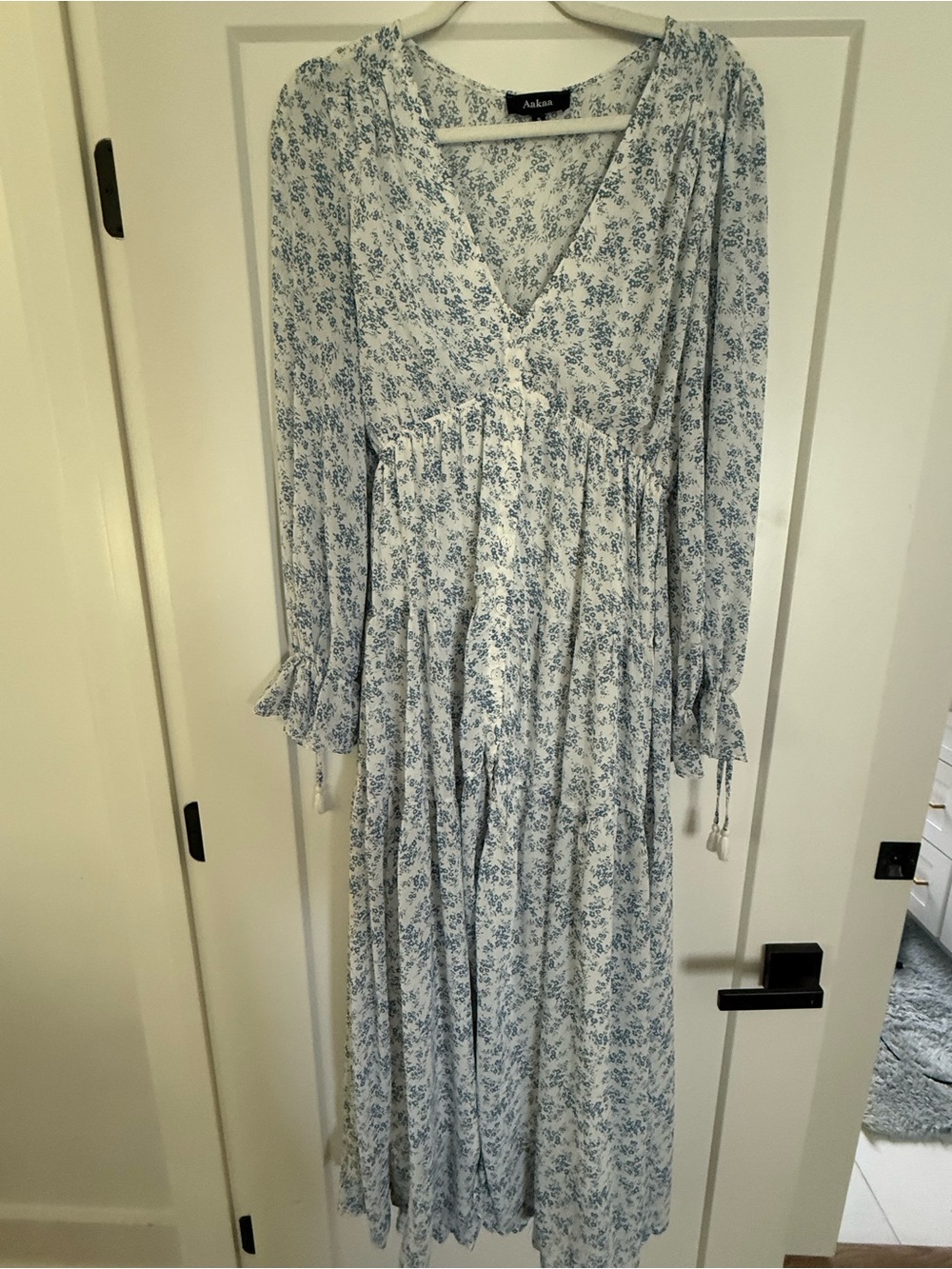 Vici Blue Floral Maxi Dress on White